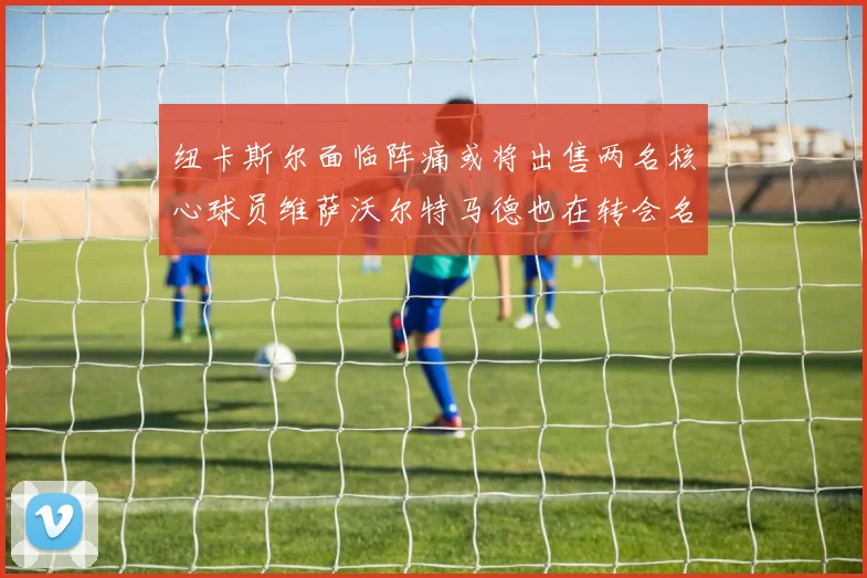 纽卡斯尔面临阵痛或将出售两名核心球员维萨沃尔特马德也在转会名单上